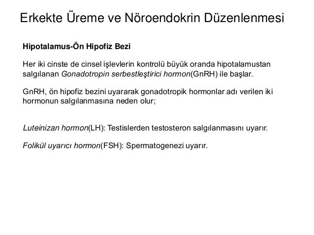 Cinsel hormonlar: prolaktin, progesteron, LH, FSH Cinsel hormonlar: prolaktin, progesteron, LH, FSH